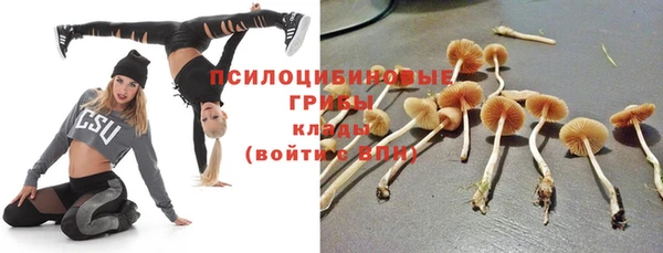 дурь Каменка
