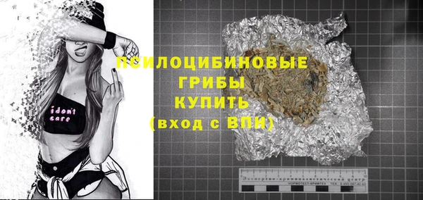 дмт Каменногорск