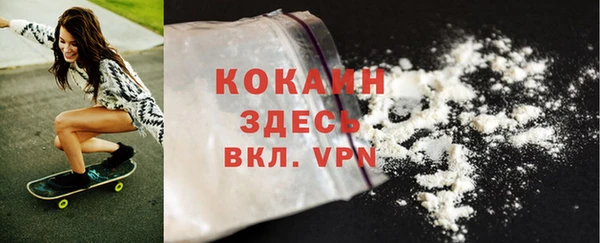 дурь Каменка