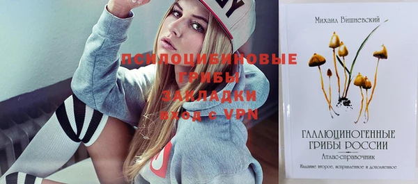 дмт Каменногорск