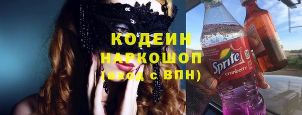 дмт Каменногорск
