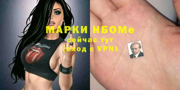 дмт Каменногорск