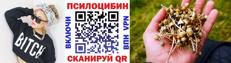 Купить закладки  Высоцк  Галлюциногенные грибы MAGIC MUSHROOMS 